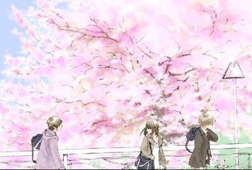 猎奇白虎